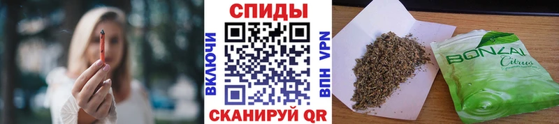 БУТИРАТ BDO  мега   Пугачёв 