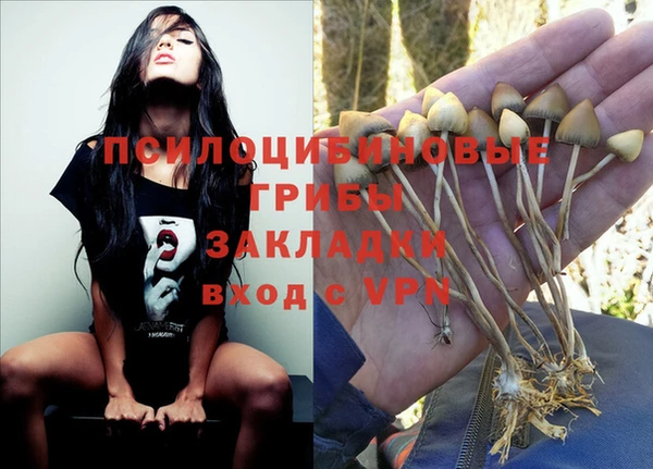 прущие крисы Арсеньев